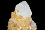Sunshine Cactus Quartz Crystal Cluster - South Africa #80196-2